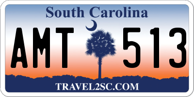 SC license plate AMT513