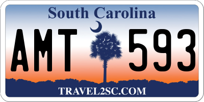 SC license plate AMT593
