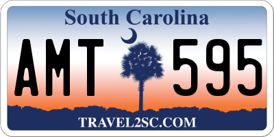 SC license plate AMT595