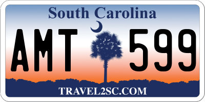 SC license plate AMT599