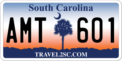 SC license plate AMT601