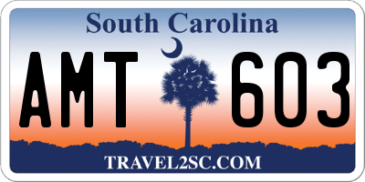 SC license plate AMT603