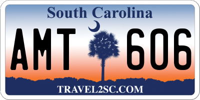 SC license plate AMT606