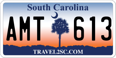 SC license plate AMT613