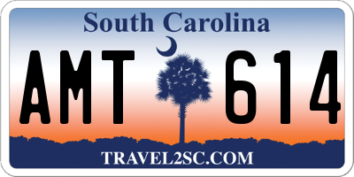 SC license plate AMT614