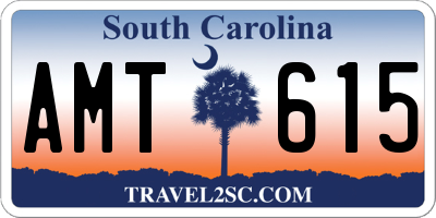 SC license plate AMT615