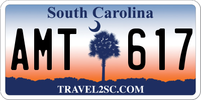 SC license plate AMT617