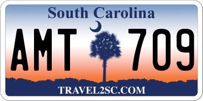 SC license plate AMT709