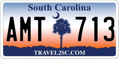 SC license plate AMT713