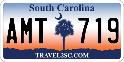 SC license plate AMT719