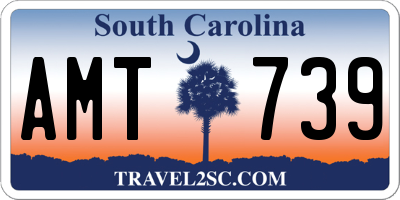 SC license plate AMT739