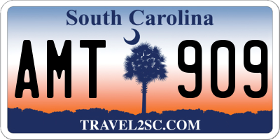 SC license plate AMT909