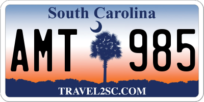 SC license plate AMT985