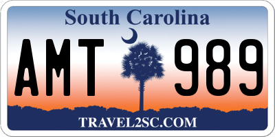 SC license plate AMT989
