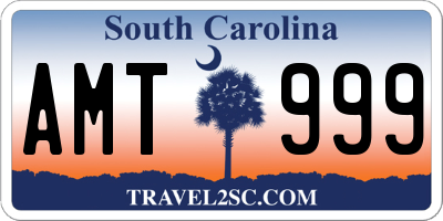SC license plate AMT999