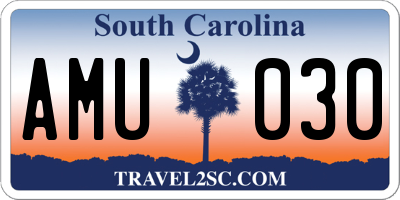 SC license plate AMU030