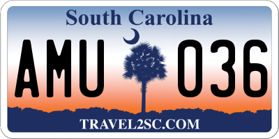 SC license plate AMU036