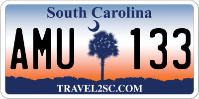 SC license plate AMU133