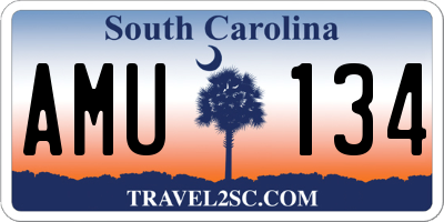 SC license plate AMU134