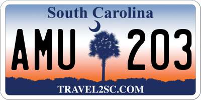 SC license plate AMU203