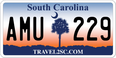SC license plate AMU229