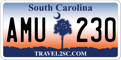 SC license plate AMU230
