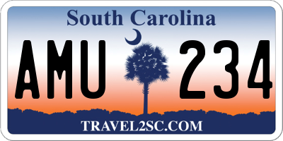 SC license plate AMU234