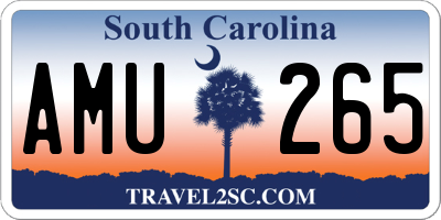 SC license plate AMU265