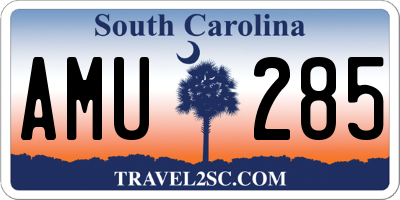 SC license plate AMU285