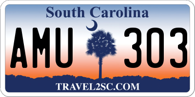 SC license plate AMU303
