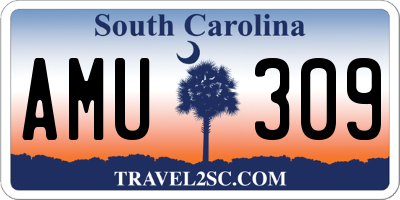 SC license plate AMU309