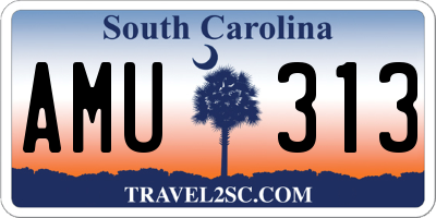 SC license plate AMU313