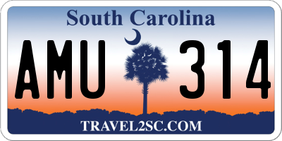 SC license plate AMU314