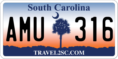 SC license plate AMU316