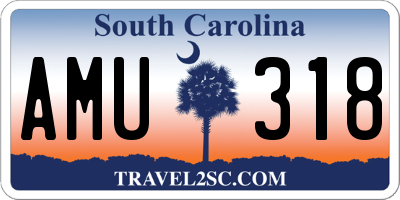 SC license plate AMU318