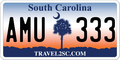 SC license plate AMU333