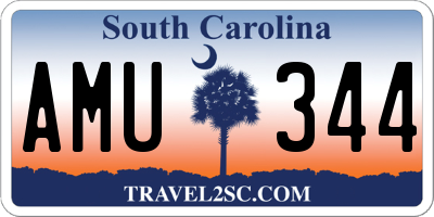 SC license plate AMU344
