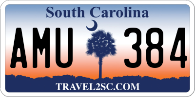 SC license plate AMU384