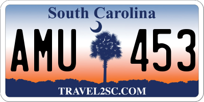 SC license plate AMU453