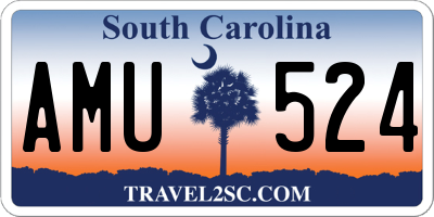 SC license plate AMU524