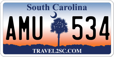 SC license plate AMU534