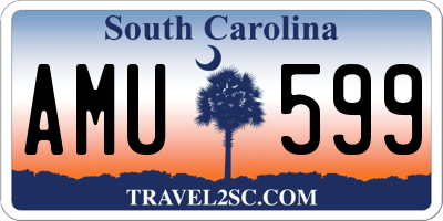 SC license plate AMU599