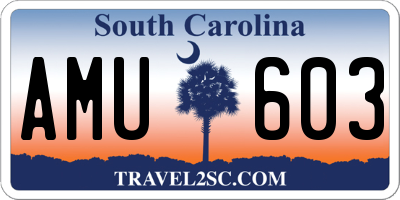 SC license plate AMU603