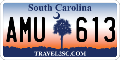 SC license plate AMU613