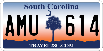 SC license plate AMU614