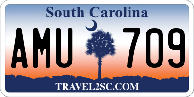 SC license plate AMU709