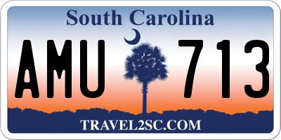SC license plate AMU713
