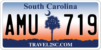 SC license plate AMU719