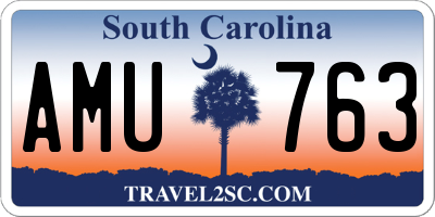 SC license plate AMU763