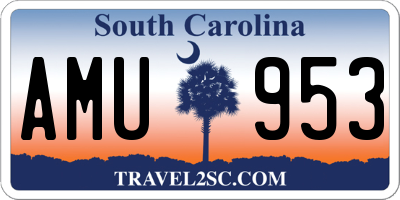 SC license plate AMU953